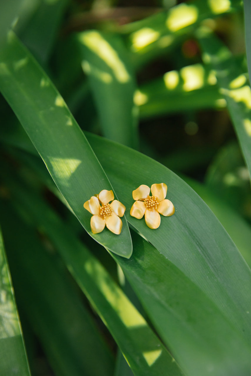 Brincos Mini Jasmine. Flor banhada a ouro Cata Vassalo